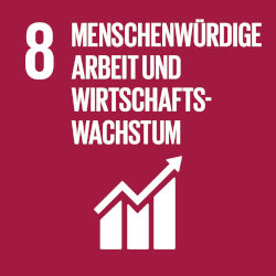 UNSDG 8